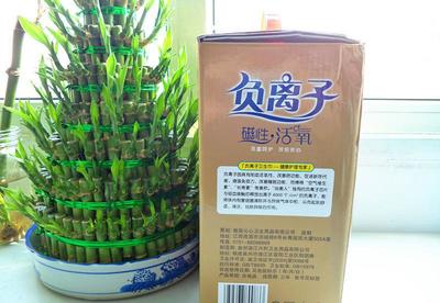 【廠家 沁美人負(fù)離子衛(wèi)生巾 超吸收 防側(cè)漏 禮盒12包 衛(wèi)生巾】價格_廠家_圖片 -