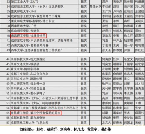 南昌理工學(xué)院在四川省計(jì)算機(jī)程序設(shè)計(jì)競賽中榮獲銀獎(jiǎng)